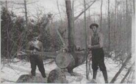 Richard and Howard Webster cutting wood